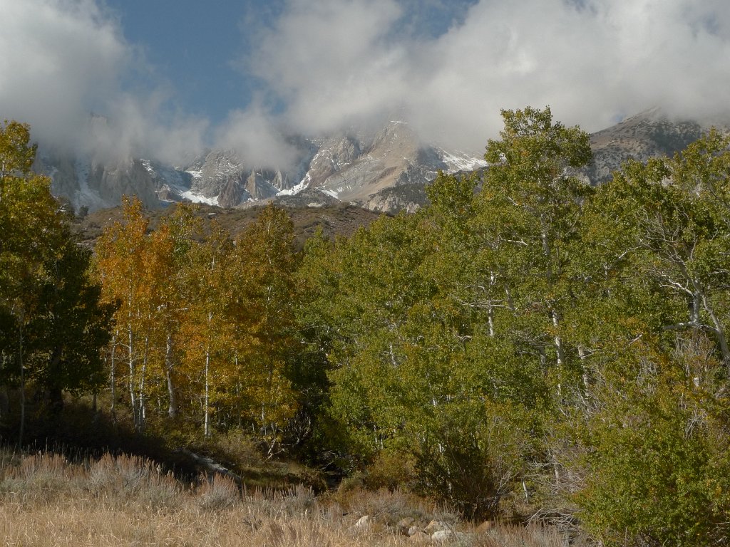 California-Fall2010 581.JPG